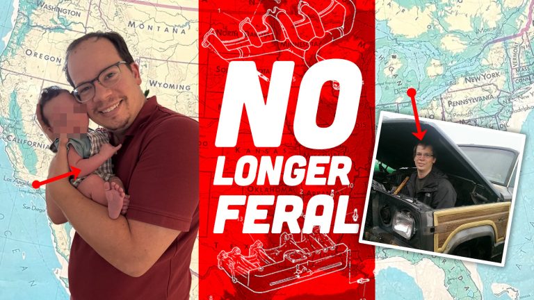 noferal_top2.jpg